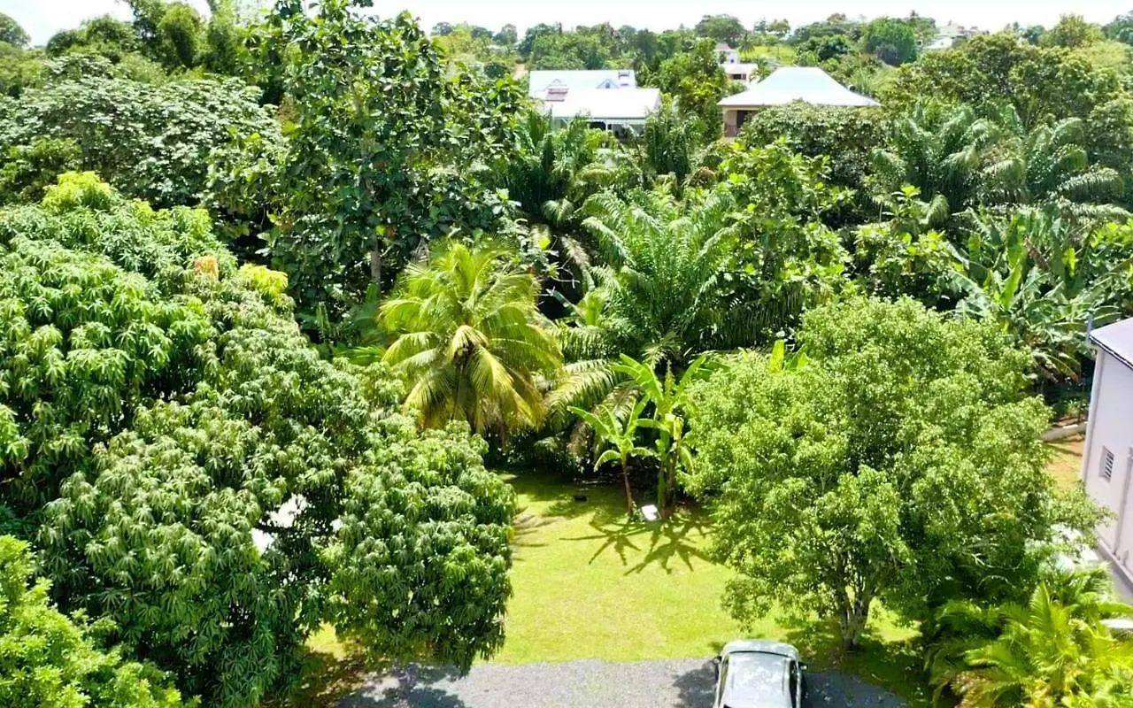 Villa Green Lord Domaine - Lodges Piscine & Spa - Bar & Lounge - Restaurant Gastronomique Lamentin