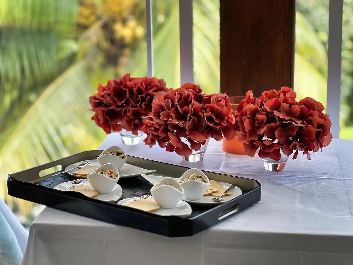 Villa Green Lord Domaine - Lodges Piscine & Spa - Bar & Lounge - Restaurant Gastronomique Lamentin