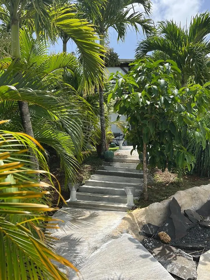 Green Lord Domaine - Lodges Piscine & Spa - Bar & Lounge - Restaurant Gastronomique Lamentin Villa